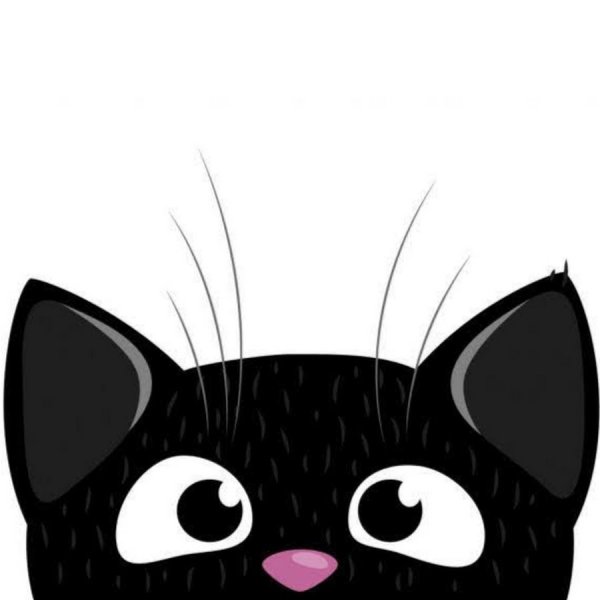 Мультяшный кот выглядывает