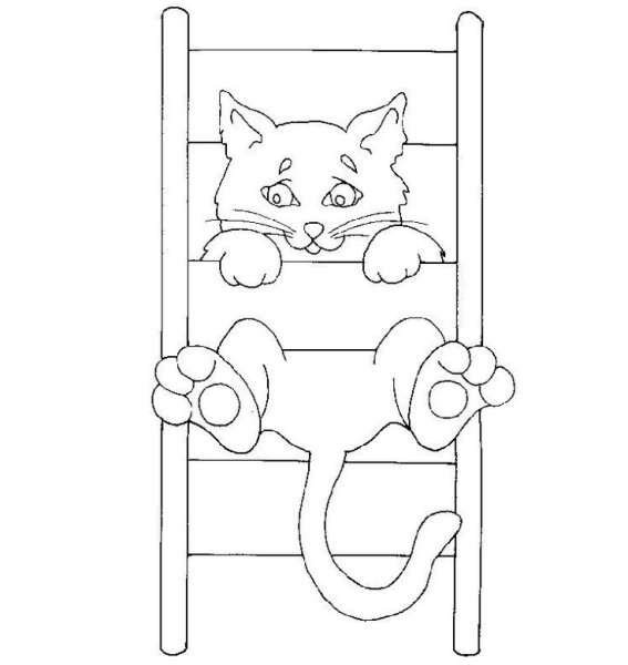 Кошка на окошке раскраска