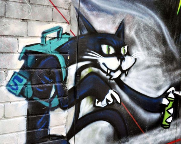 Рисунки котов для граффити