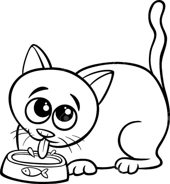 Раскраска котенок лакает молоко