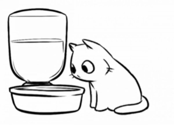 Котик с миской