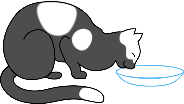 Кошка лакает молоко