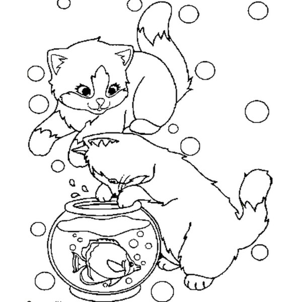Кошка с молоком раскраска