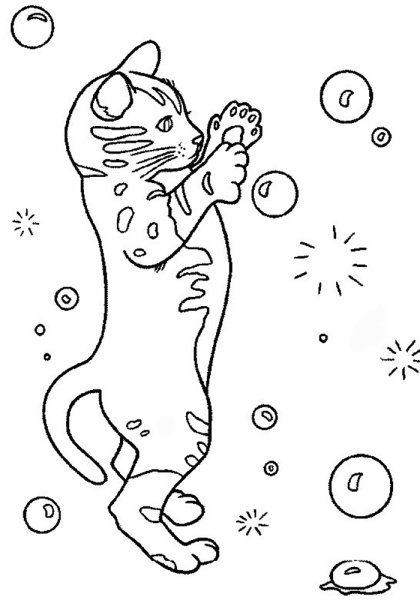 Раскраска. Котики