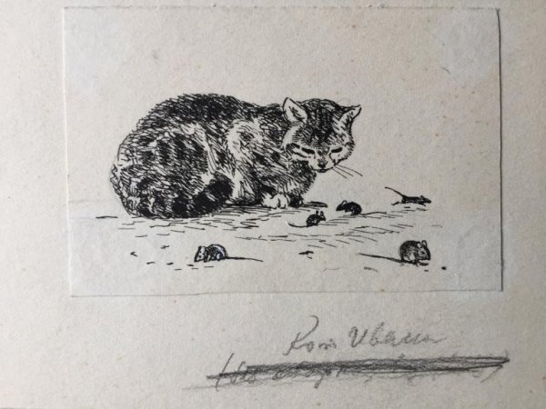 Кот Иваныч Скребицкий художник