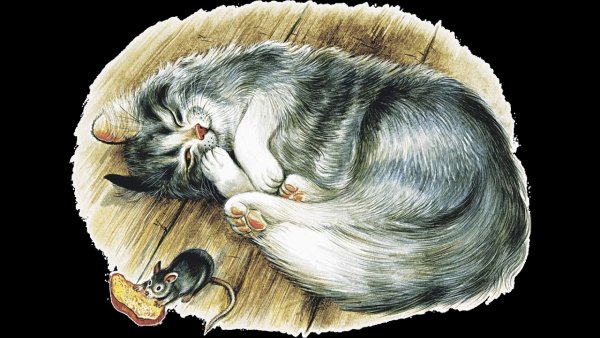 Скребицкий кот Иванович