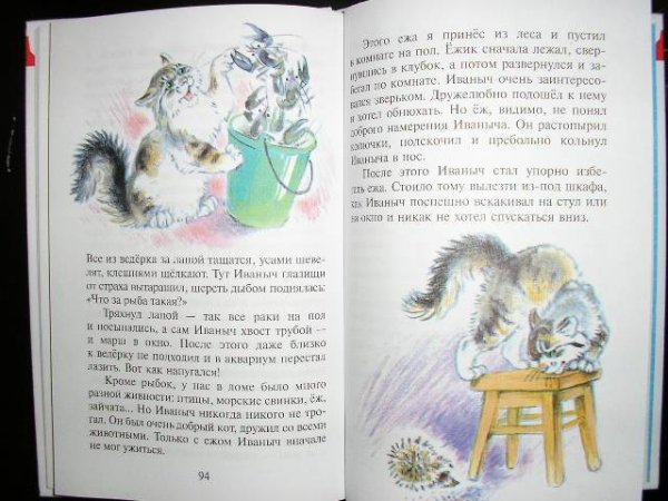 Скребицкий кот Иванович