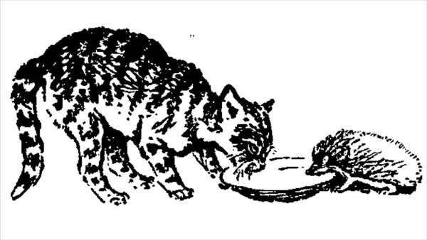 Скребицкий кот Иванович