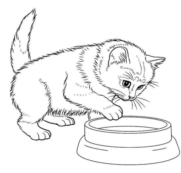 Котенок. Раскраска