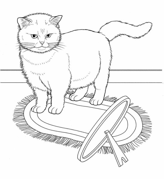 Британская кошка раскраска
