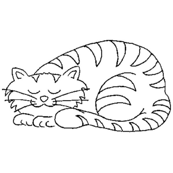 Спящий кот раскраска
