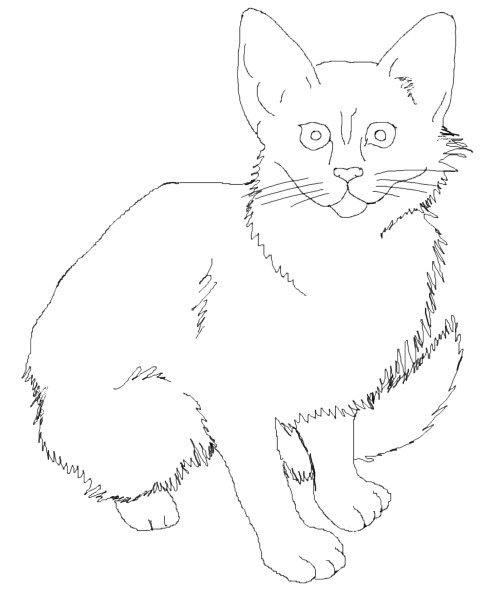 Кошка раскраска реалистичная