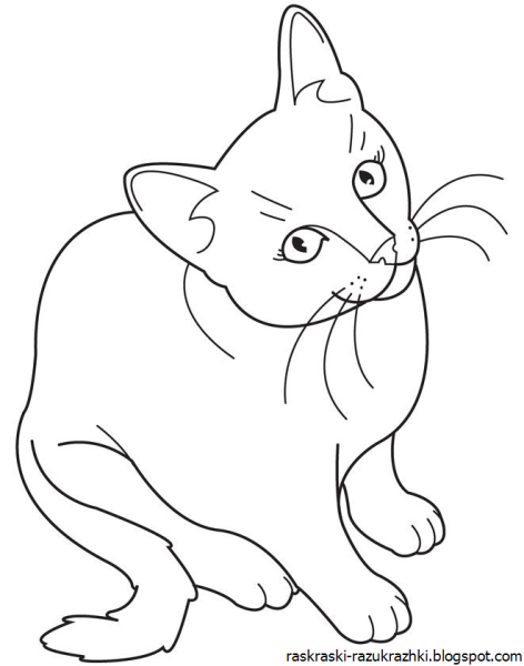 Котенок. Раскраска