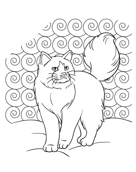 Кот ученый раскраска