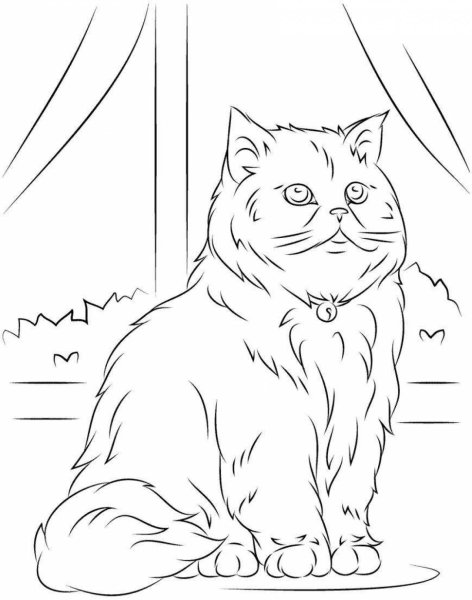 Рисунки котов для срисовки