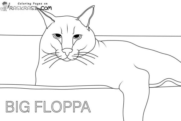 Шлёпа раскраска кот