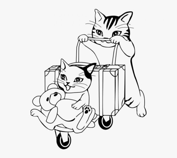 Кошки. Раскраска