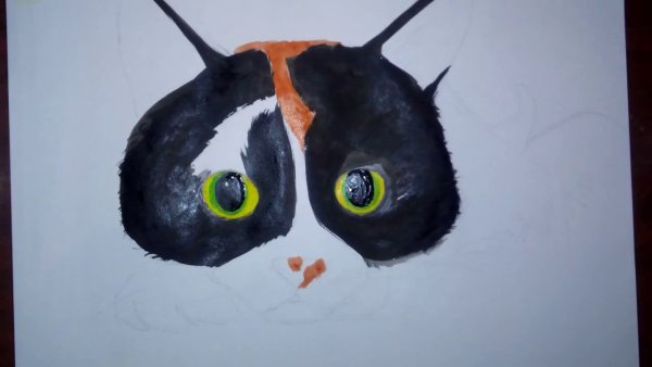 Сливки шоу рисунок