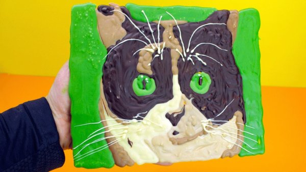 Кот куки с канала сливки шоу