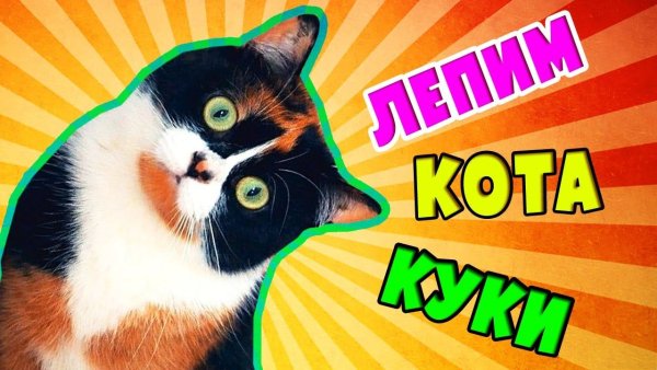 Куки сливки шоу