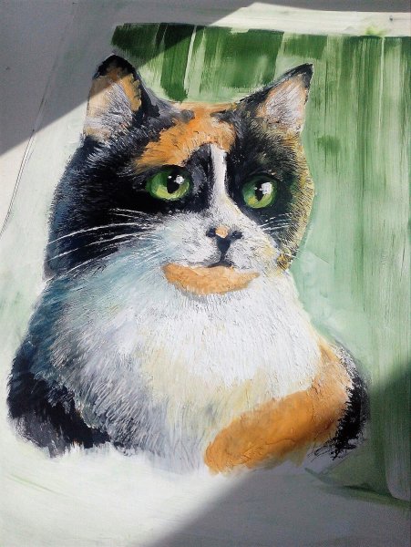 Куки кот