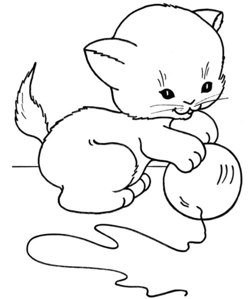 Котенок. Раскраска