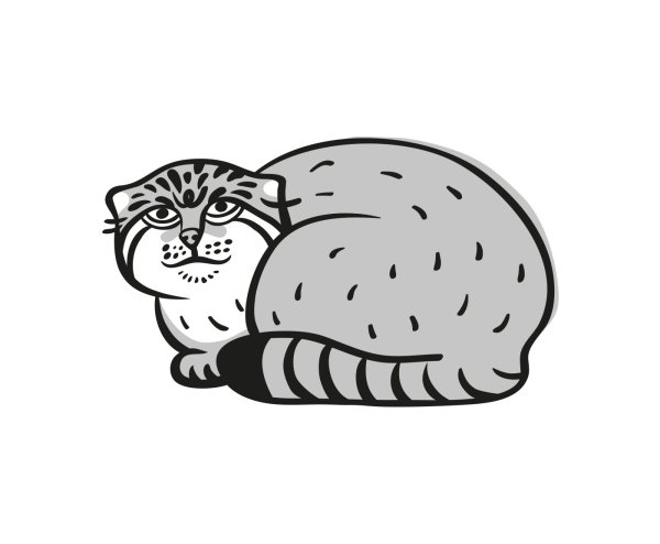 Кот Манул раскраска