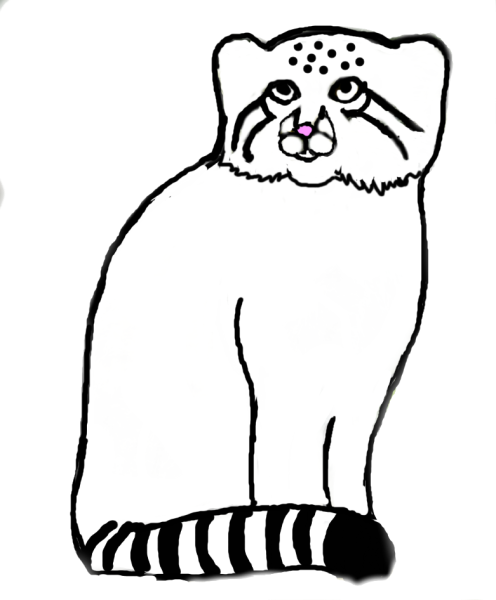 Кот Манул