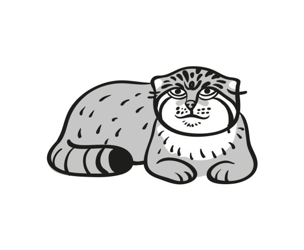 Кот Манул