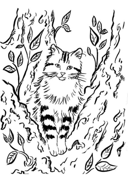 Кошка на дереве раскраска