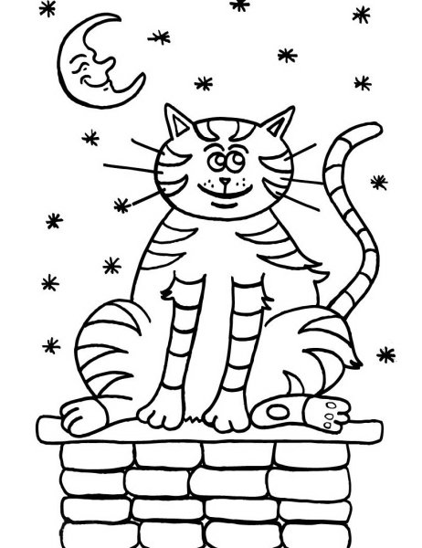 Котик раскраска для детей