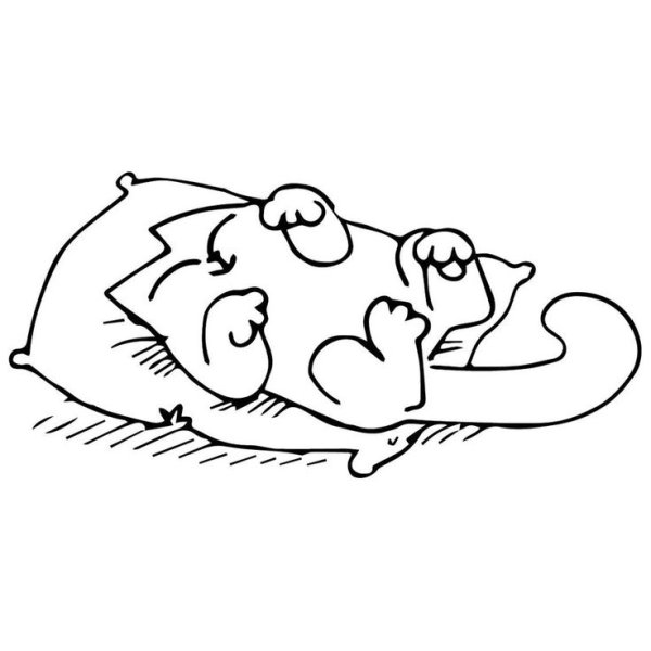 Кот Саймон