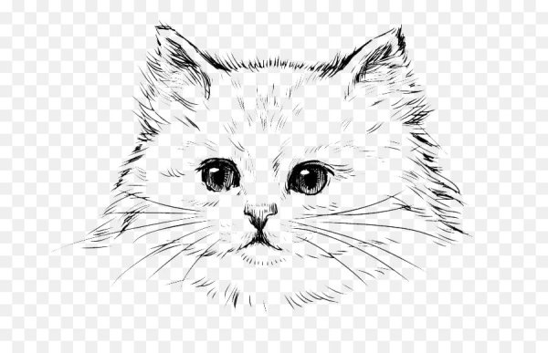 Морда кота рисунок