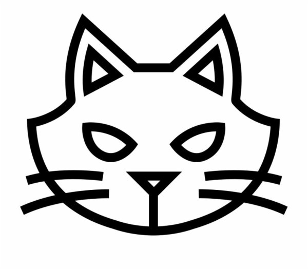 Морда кошки