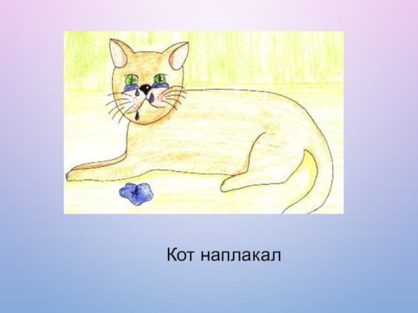 Кот наплакал