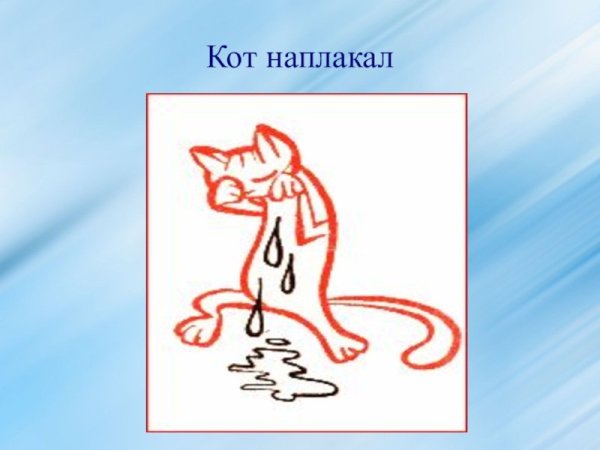 Кот наплакал фразеологизм