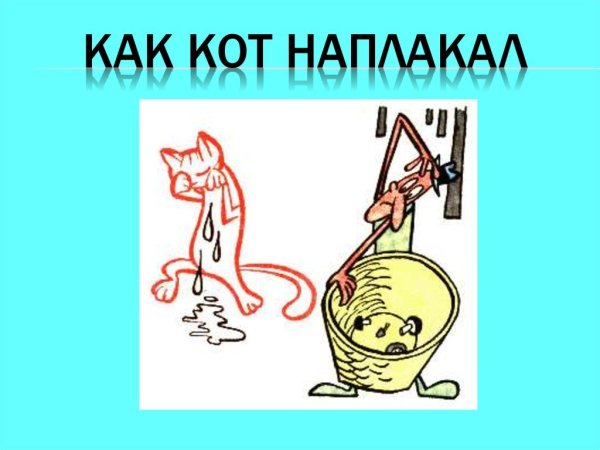 Кот наплакал