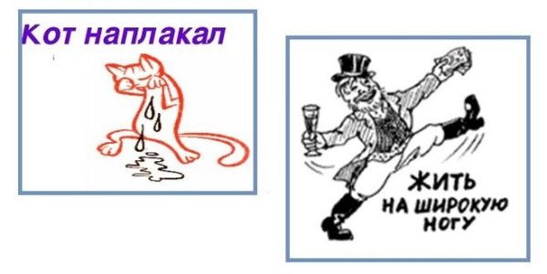 Жить на широкую ногу фразеологизм