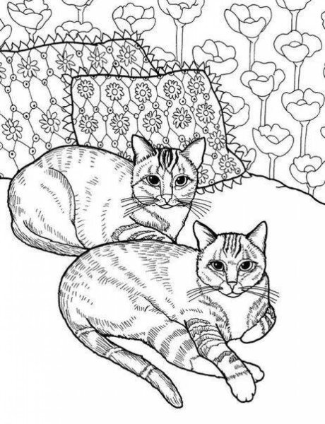 Раскраски котов и кошек