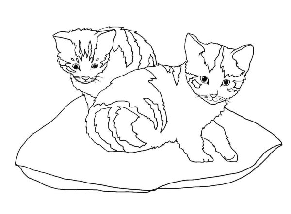 Котенок. Раскраска