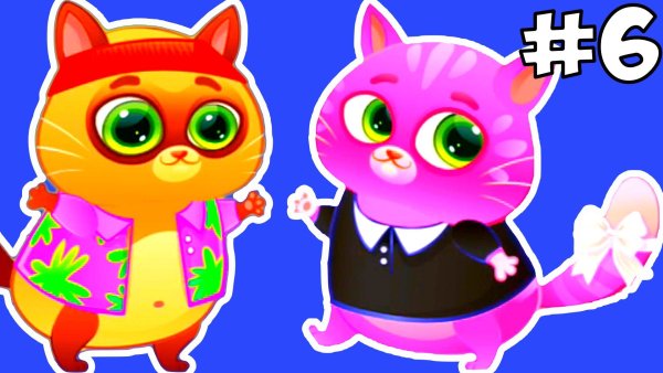 Bubbu Cat