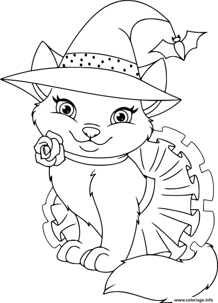Кот ученый раскраска