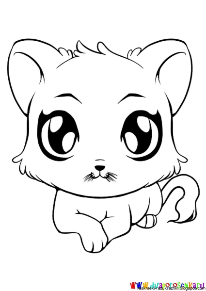 Котята для срисовки