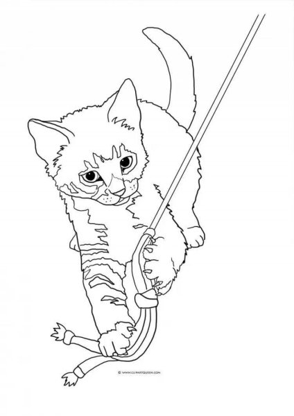 Раскраска. Котики