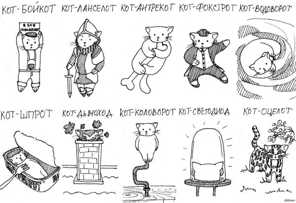 Котик компотик