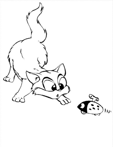 Кот и мышь раскраска