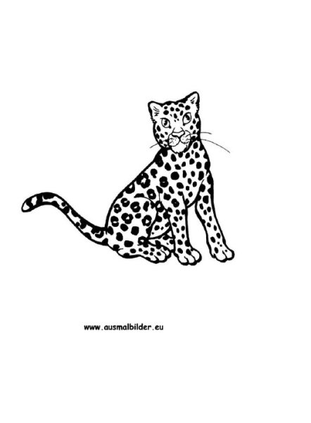 Раскраски кот оцелота (41 фото)