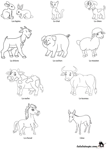 Кошки. Раскраска