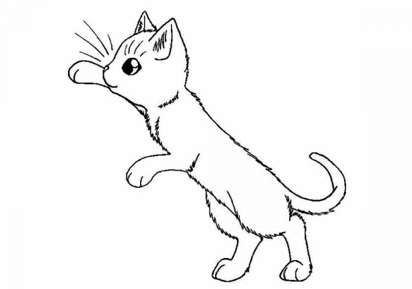 Рисунок кошки для раскрашивания