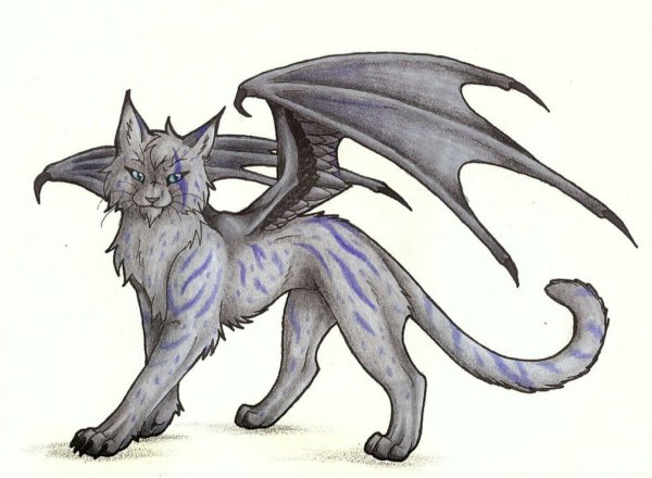 Кот дракон